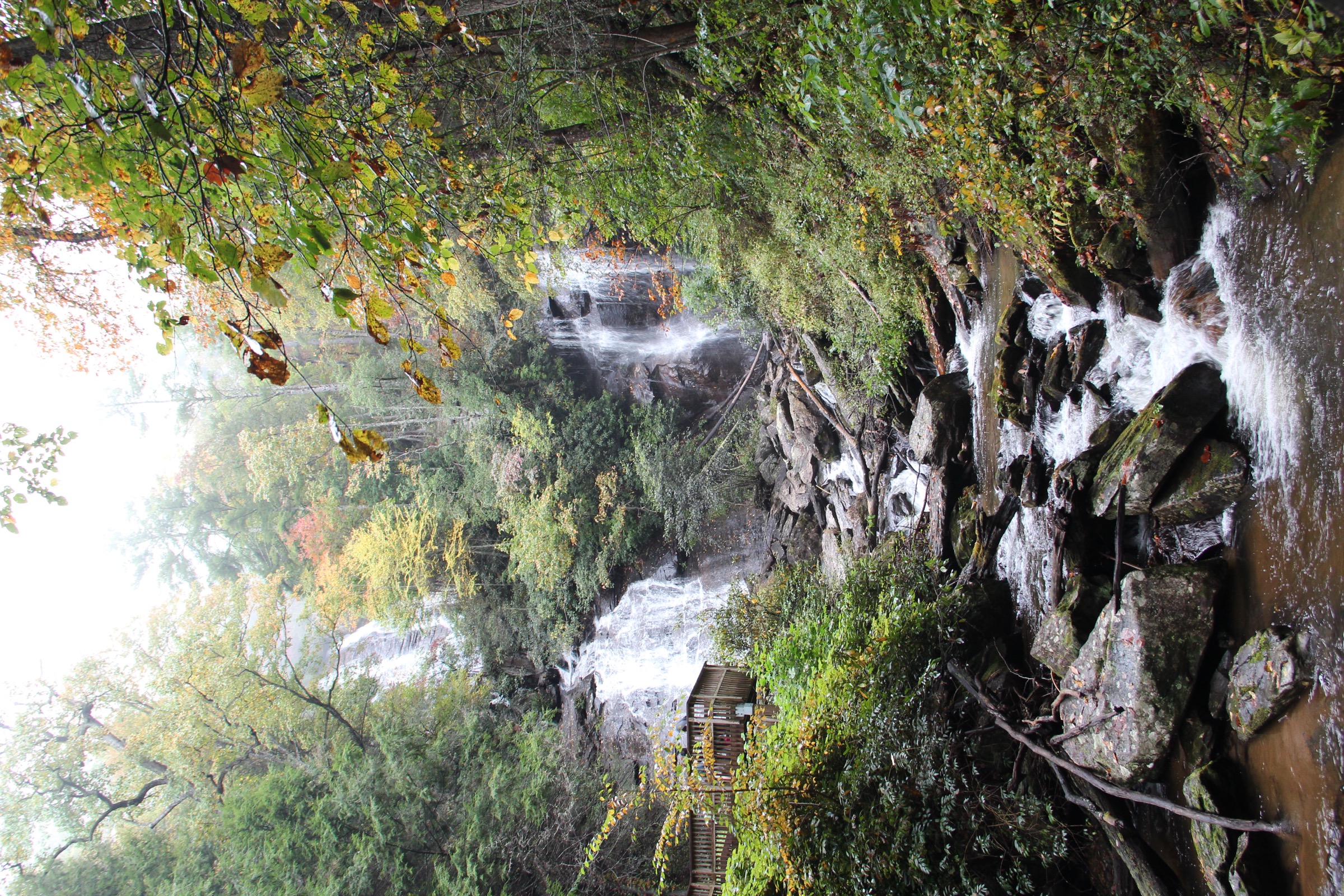 Anna Ruby Falls waterfall view