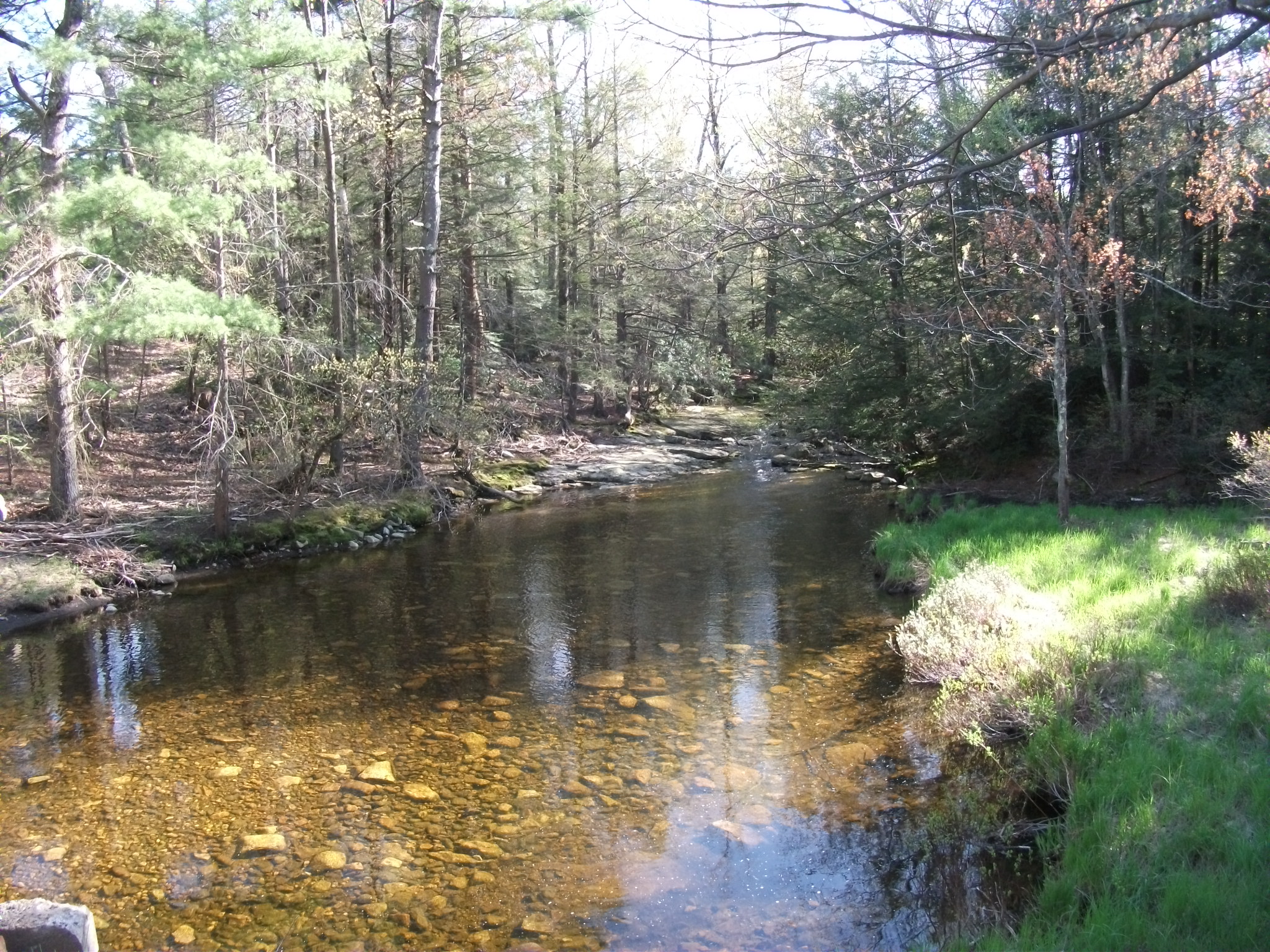 Awosting Falls waterfall view