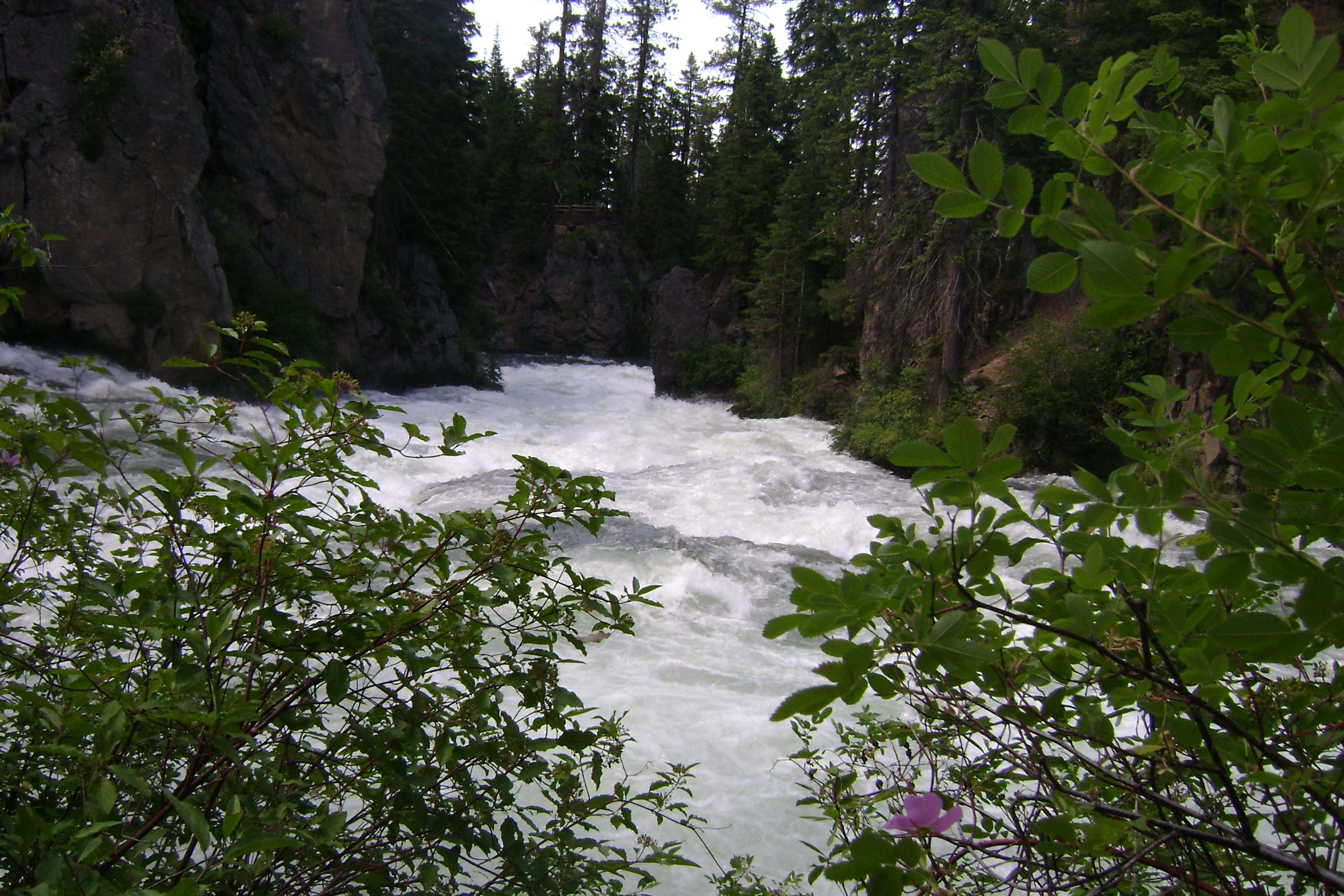 Benham Falls waterfall view