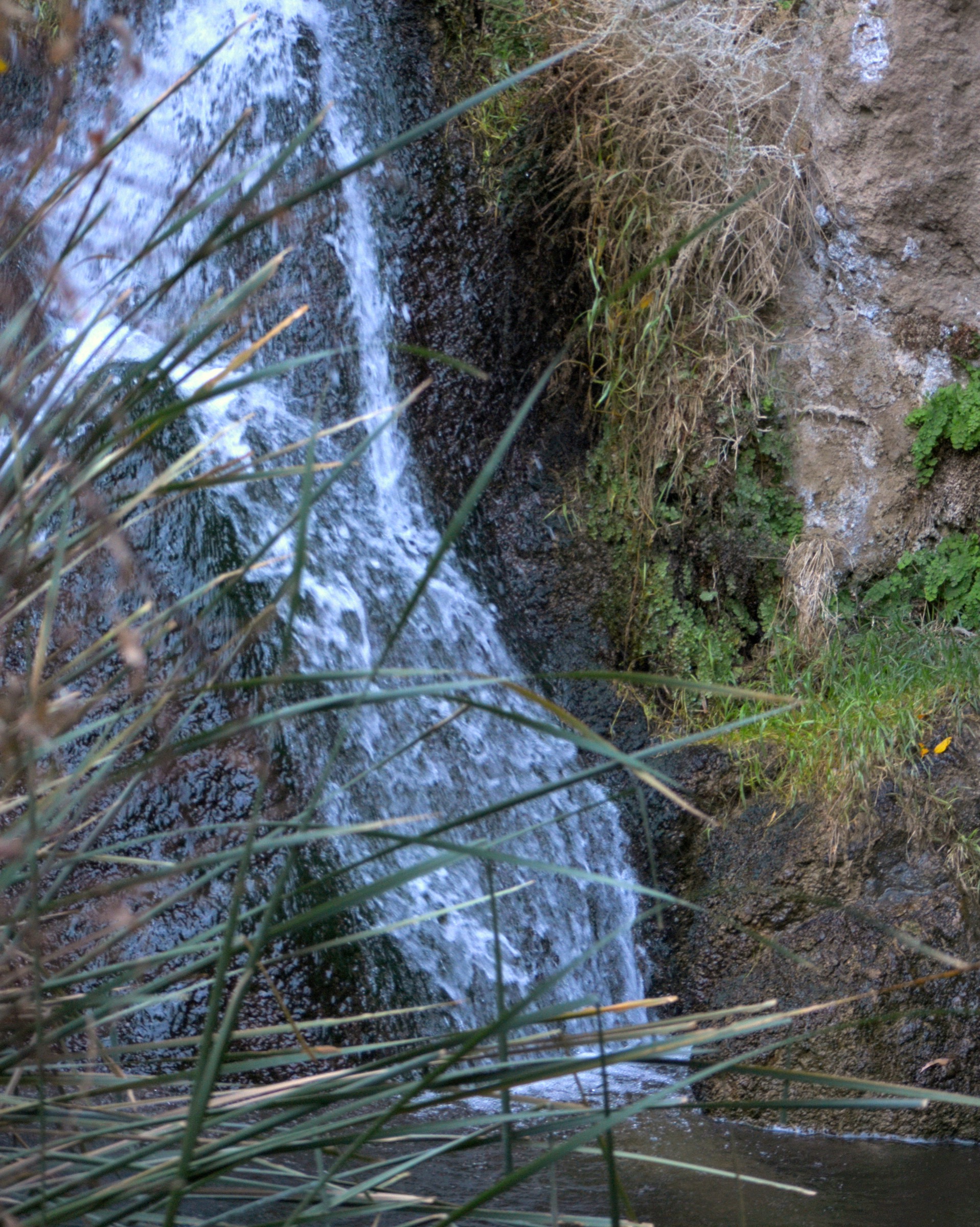 Darwin Falls waterfall view