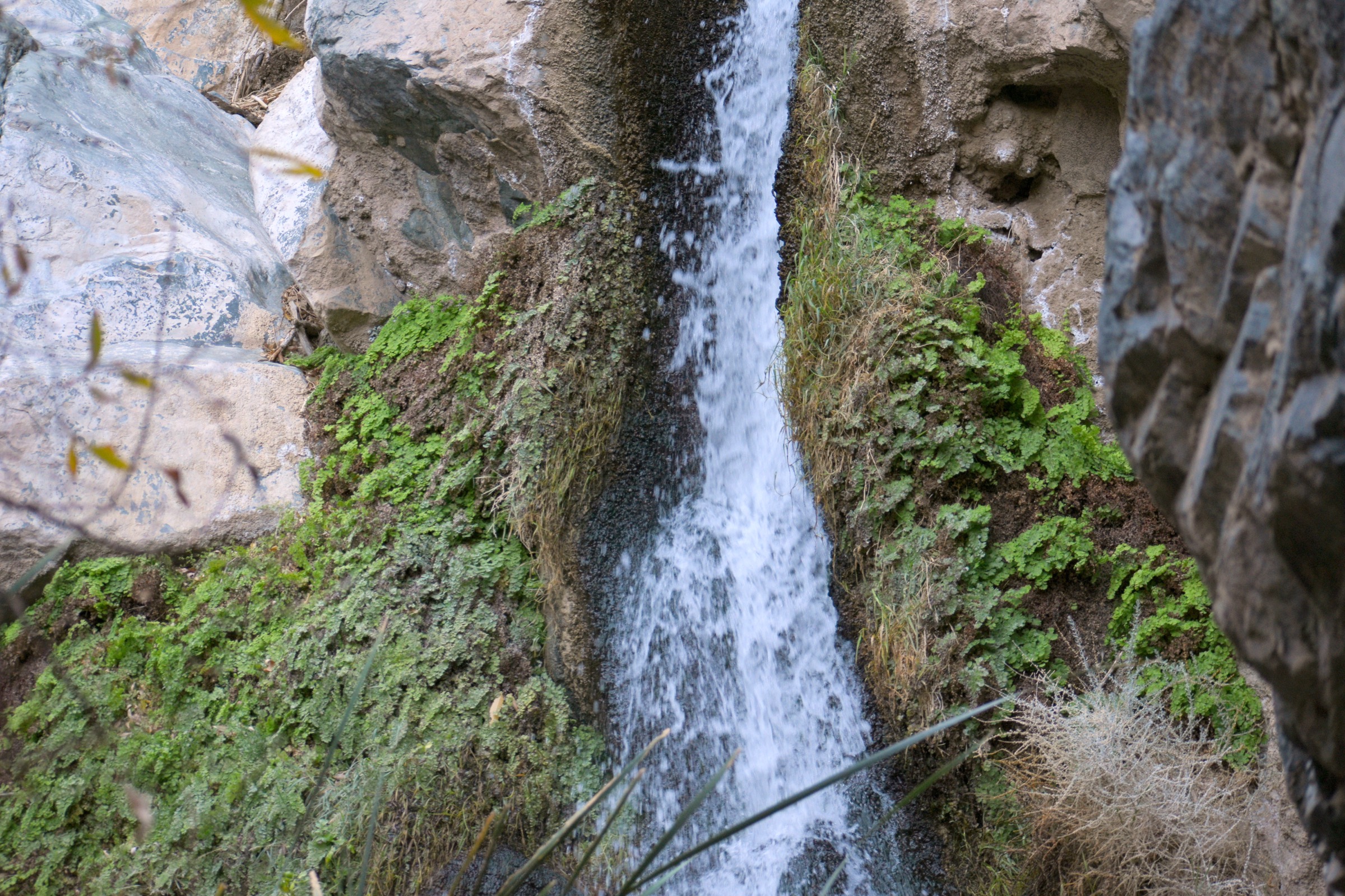 Darwin Falls in fall or cool-weather visit