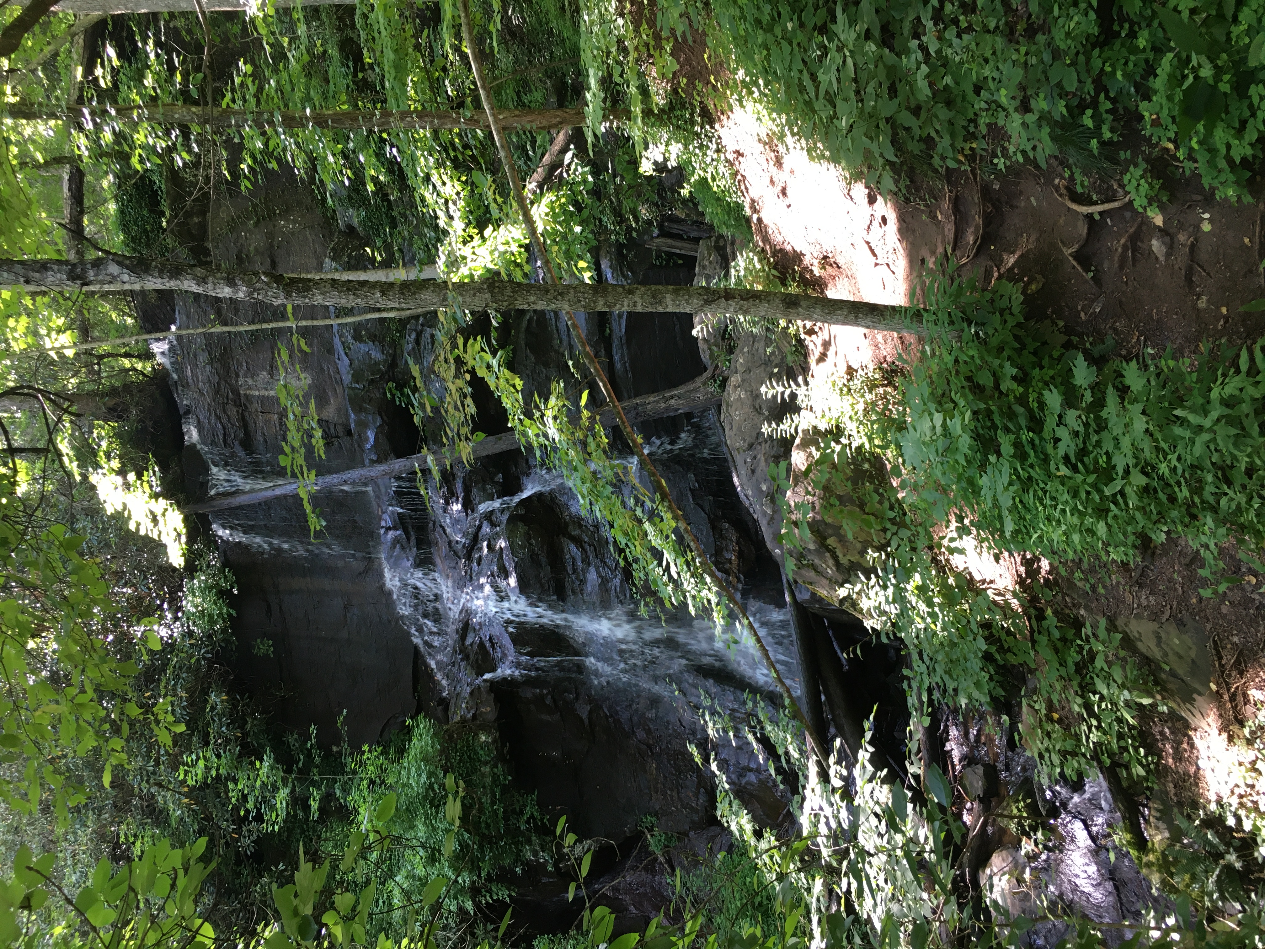 DeSoto Falls waterfall view