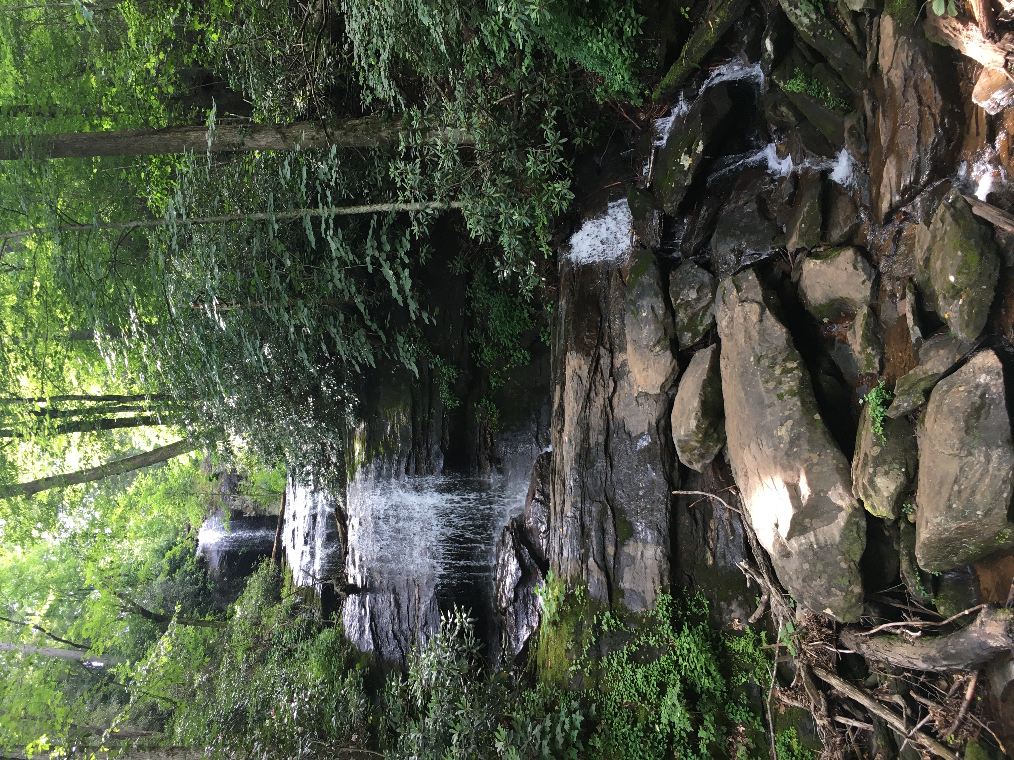 DeSoto Falls waterfall view