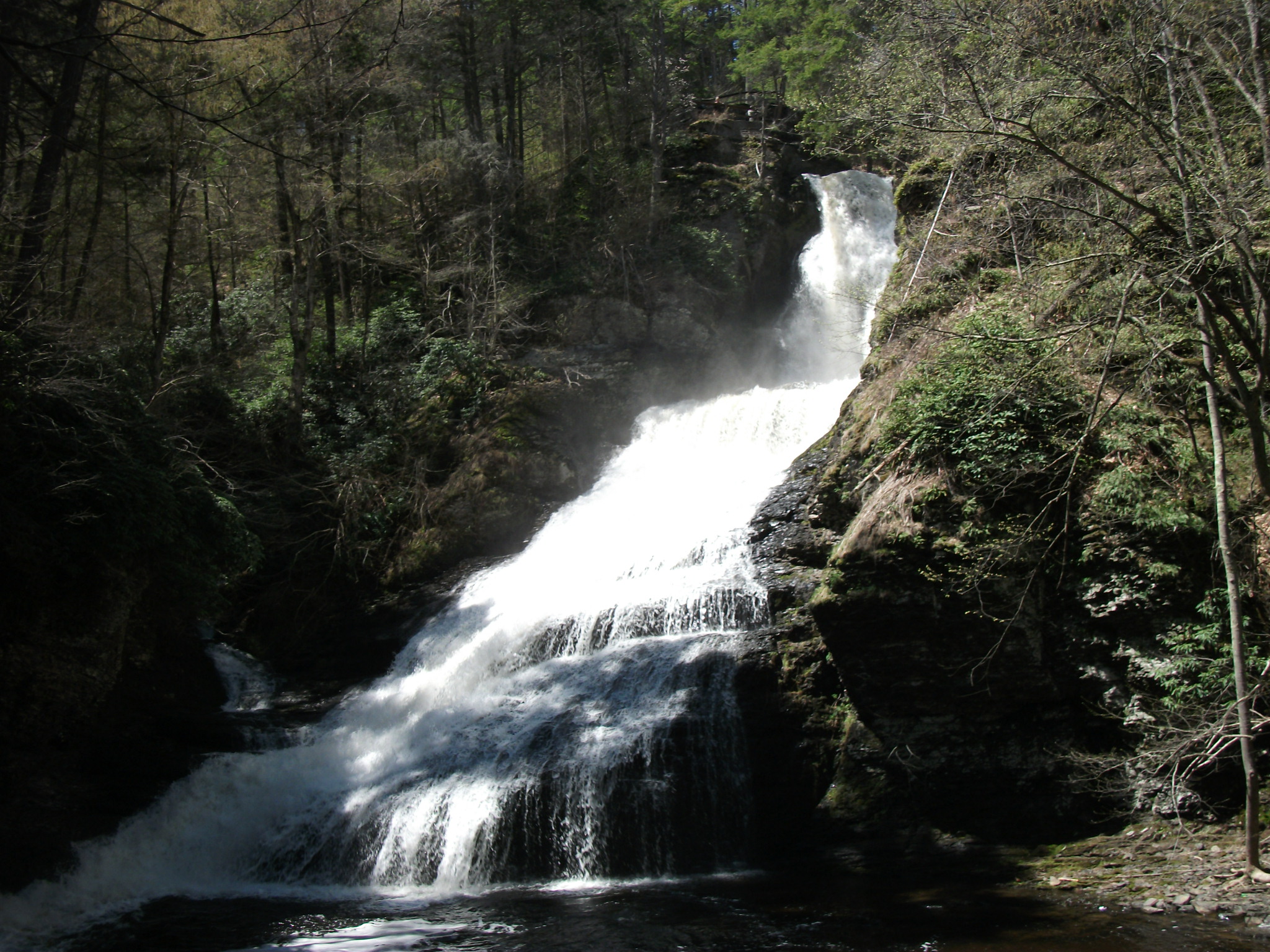 Dingmans Falls in summer or green-season visit
