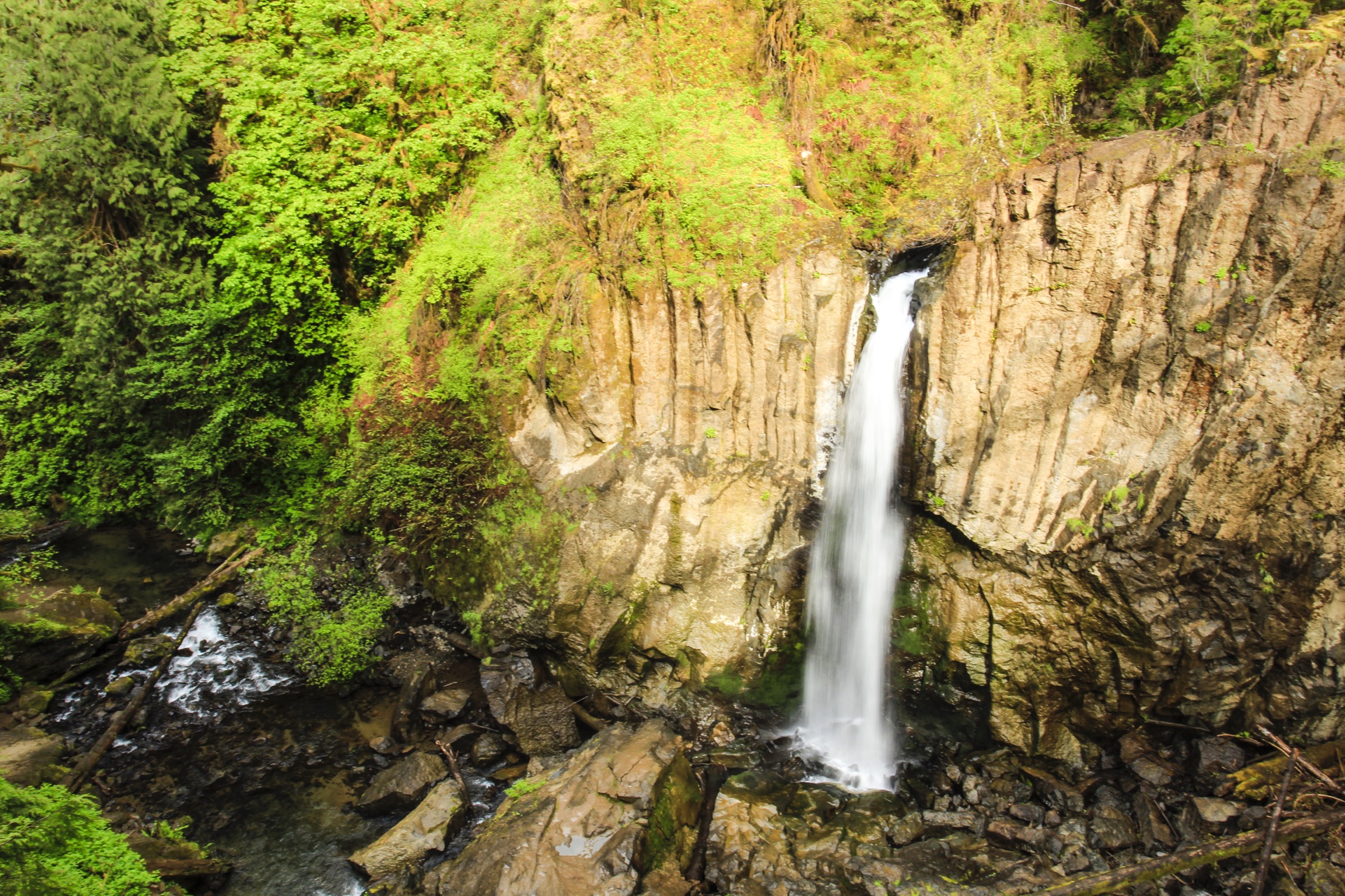Drift Creek Falls main view of drift creek falls
