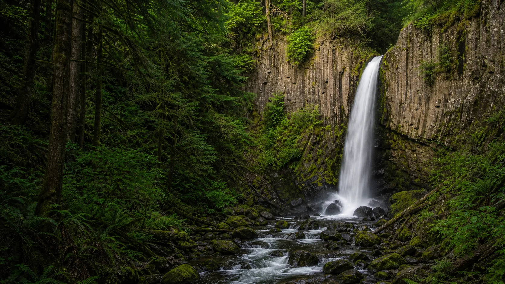 Drift Creek Falls waterfall guide