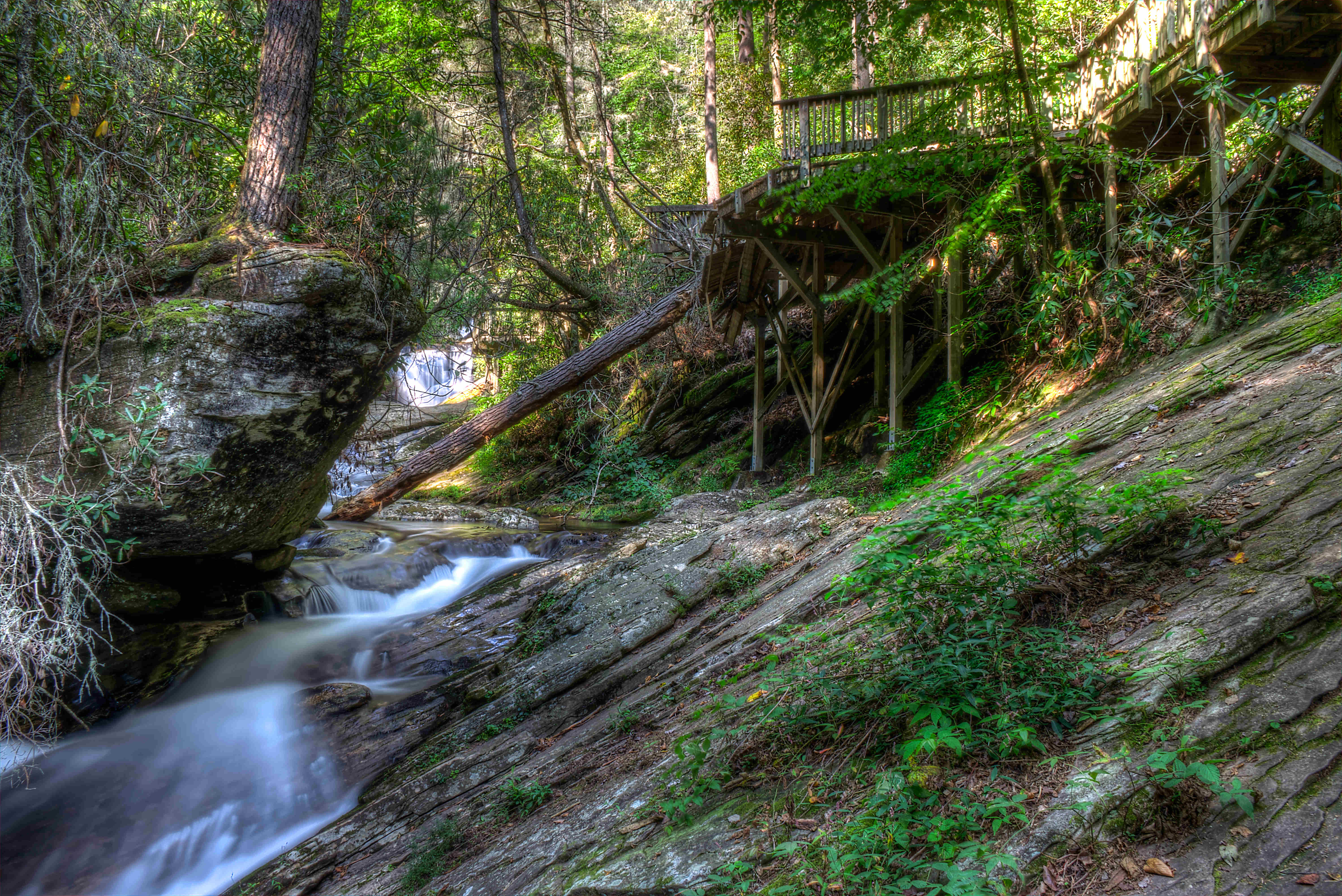 Dukes Creek in fall or cool-weather visit