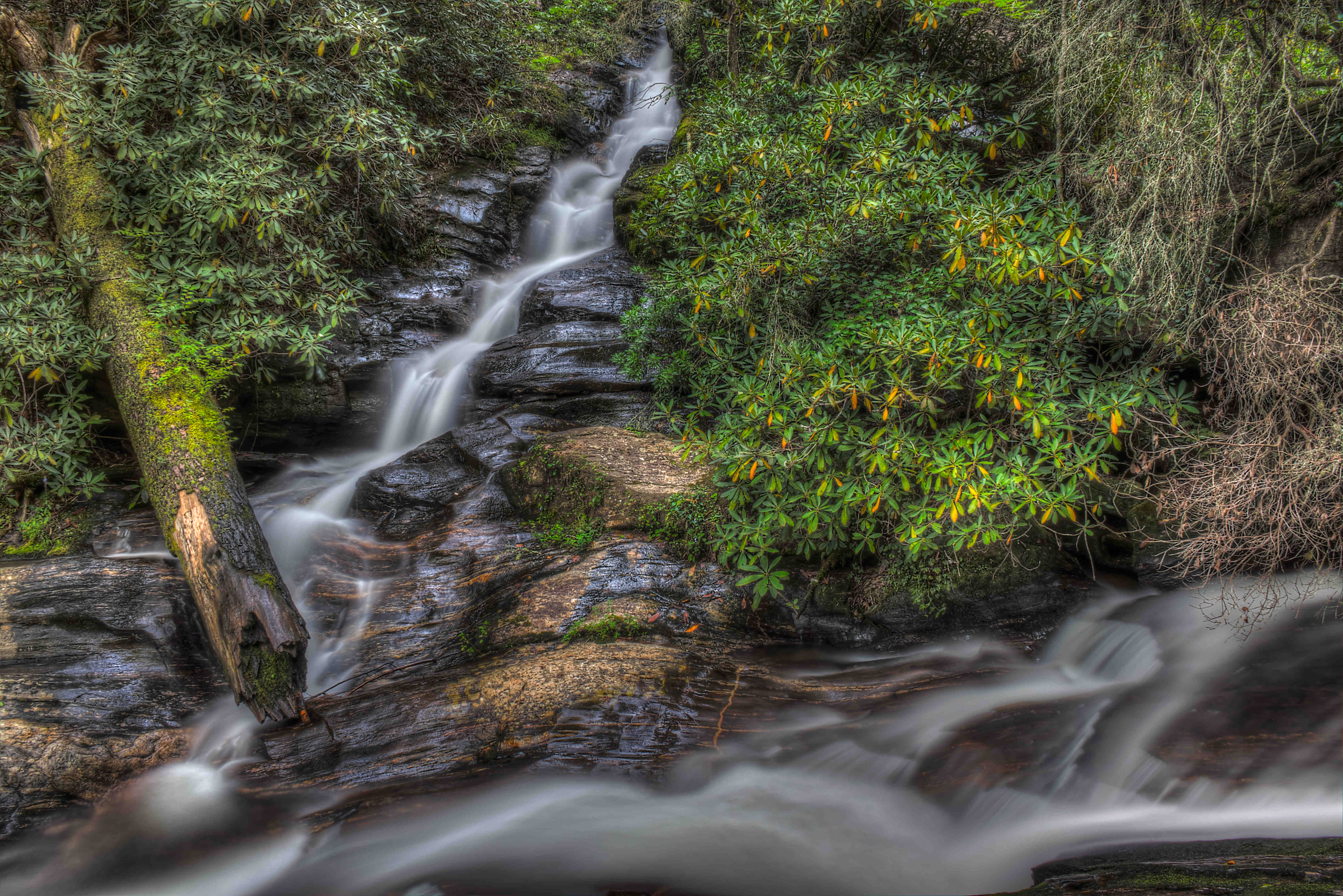 Dukes Creek in spring or higher-flow season