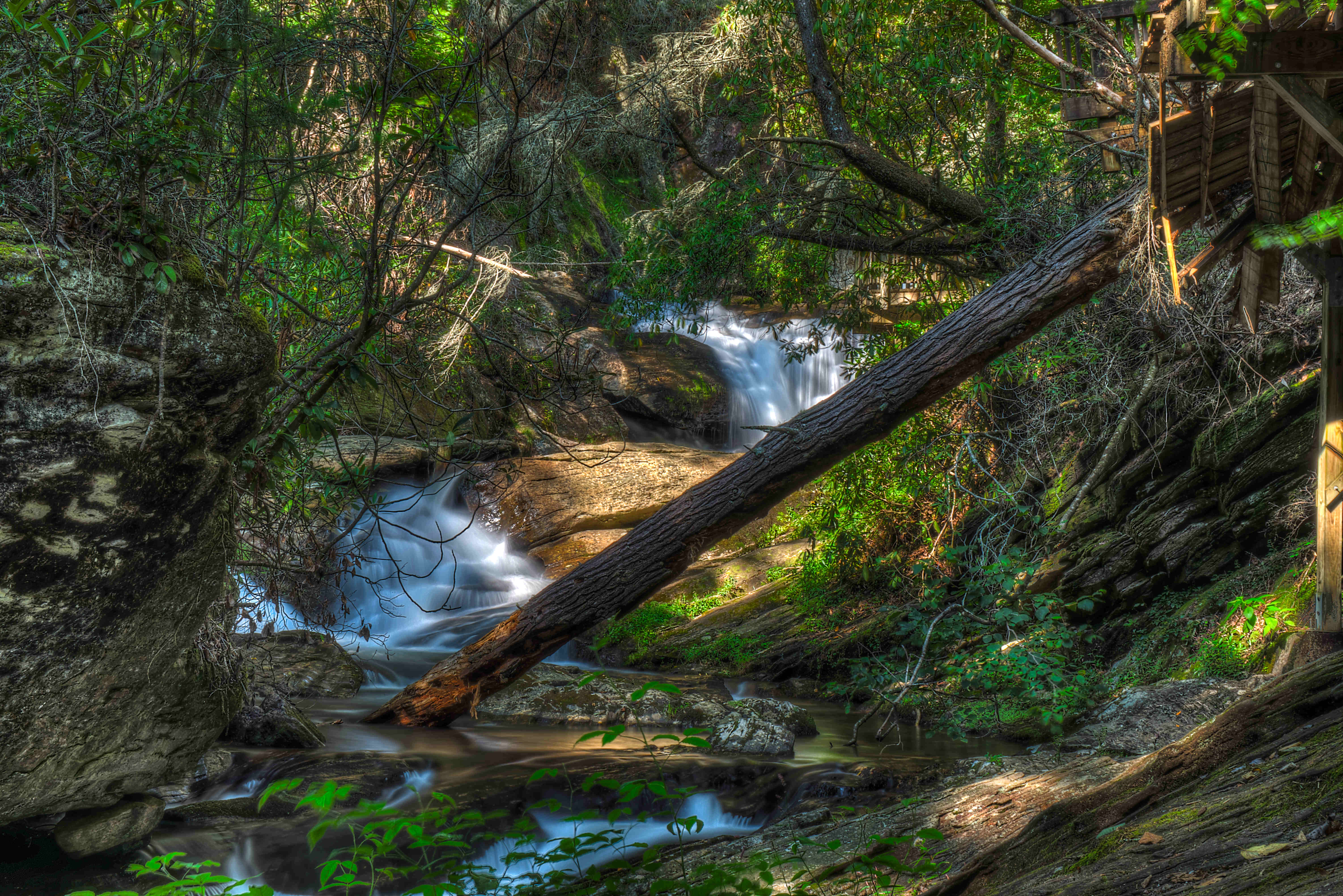Dukes Creek in summer or green-season visit