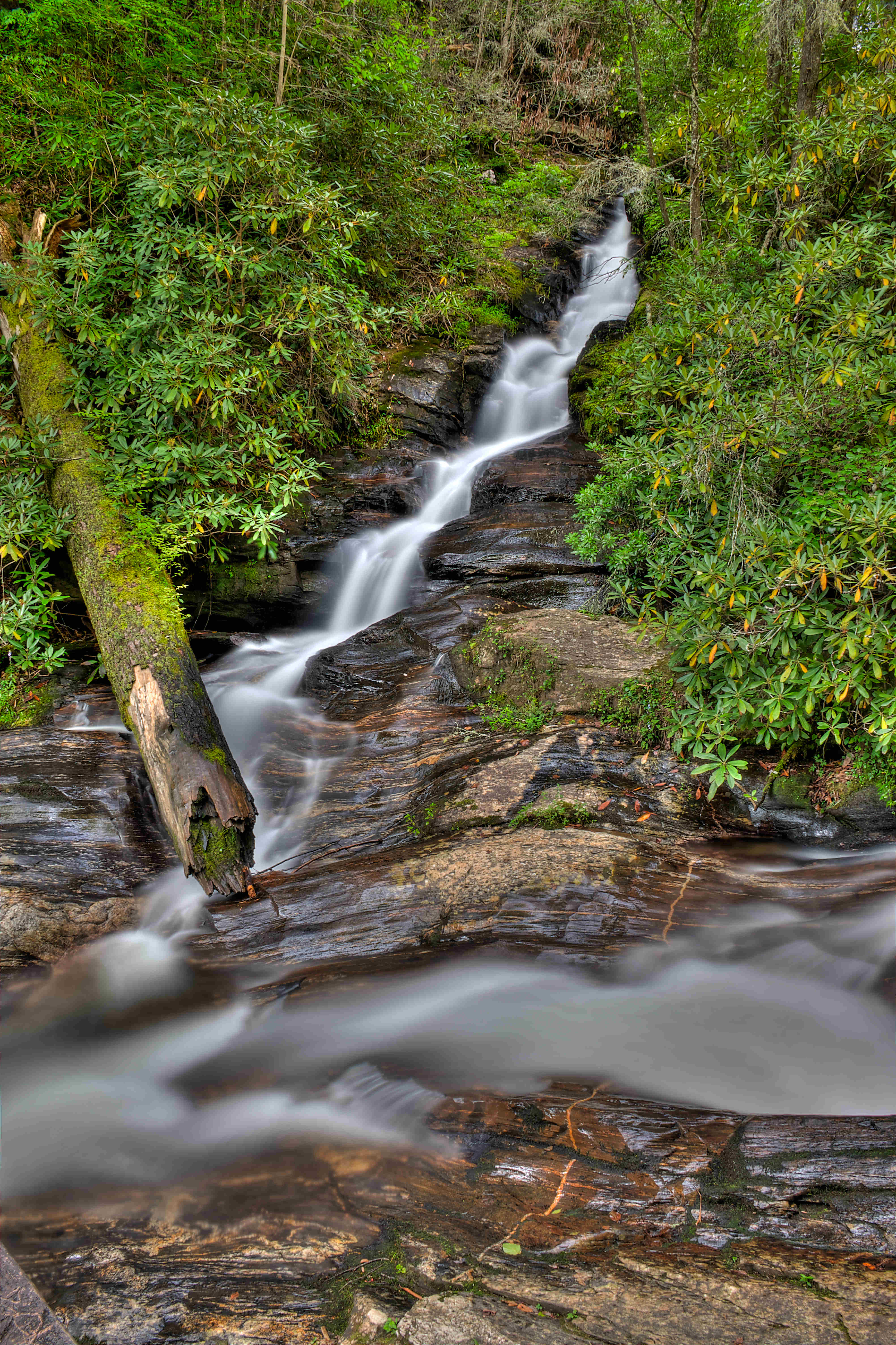 Dukes Creek in winter or off-season conditions