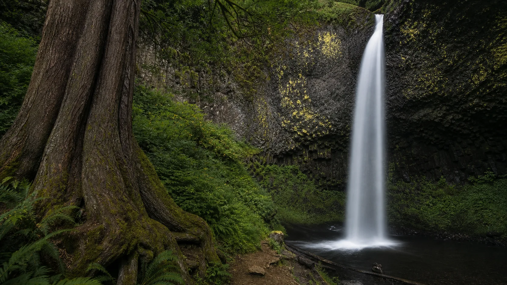 Columbia Gorge to North Umpqua: a four-stop Oregon waterfall weekend.