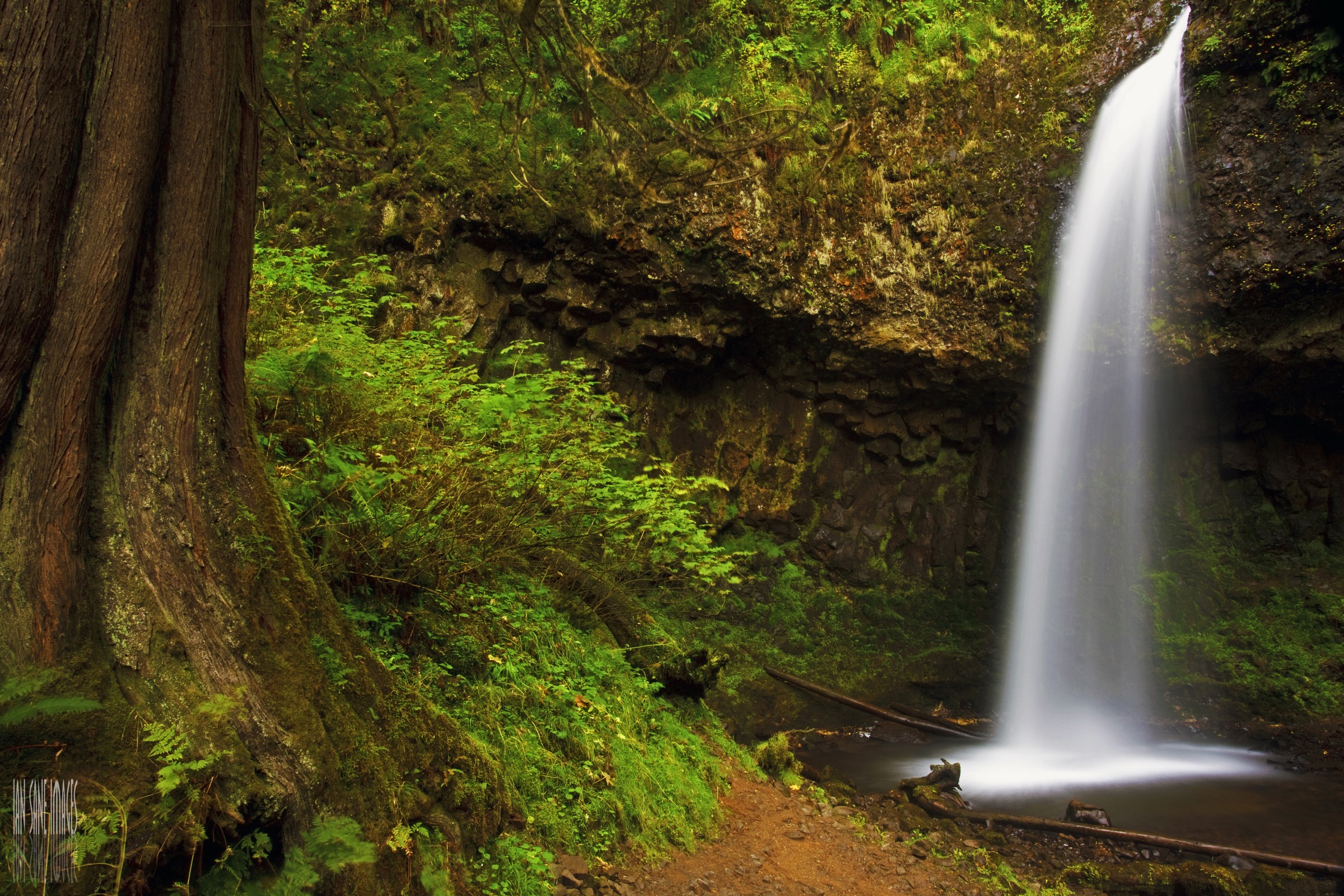 Latourell Falls in spring or higher-flow season
