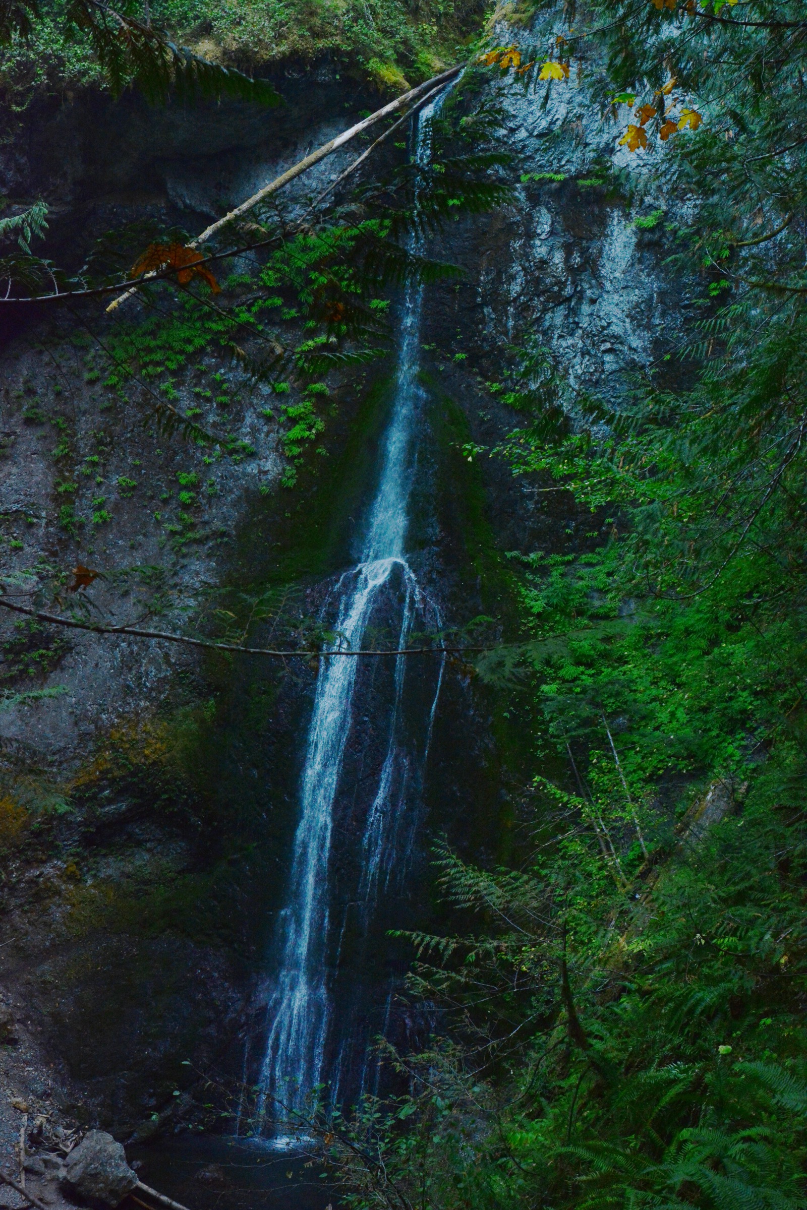 Marymere Falls waterfall view