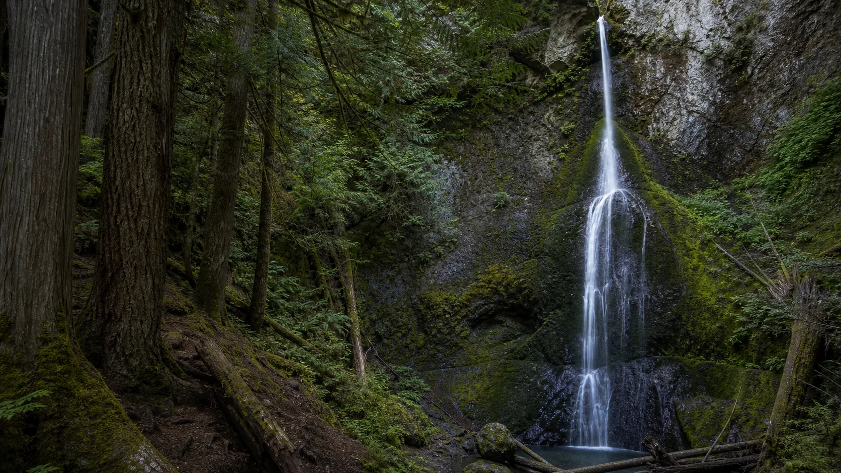 Two Olympic National Park waterfalls in a single half-day from Port Angeles