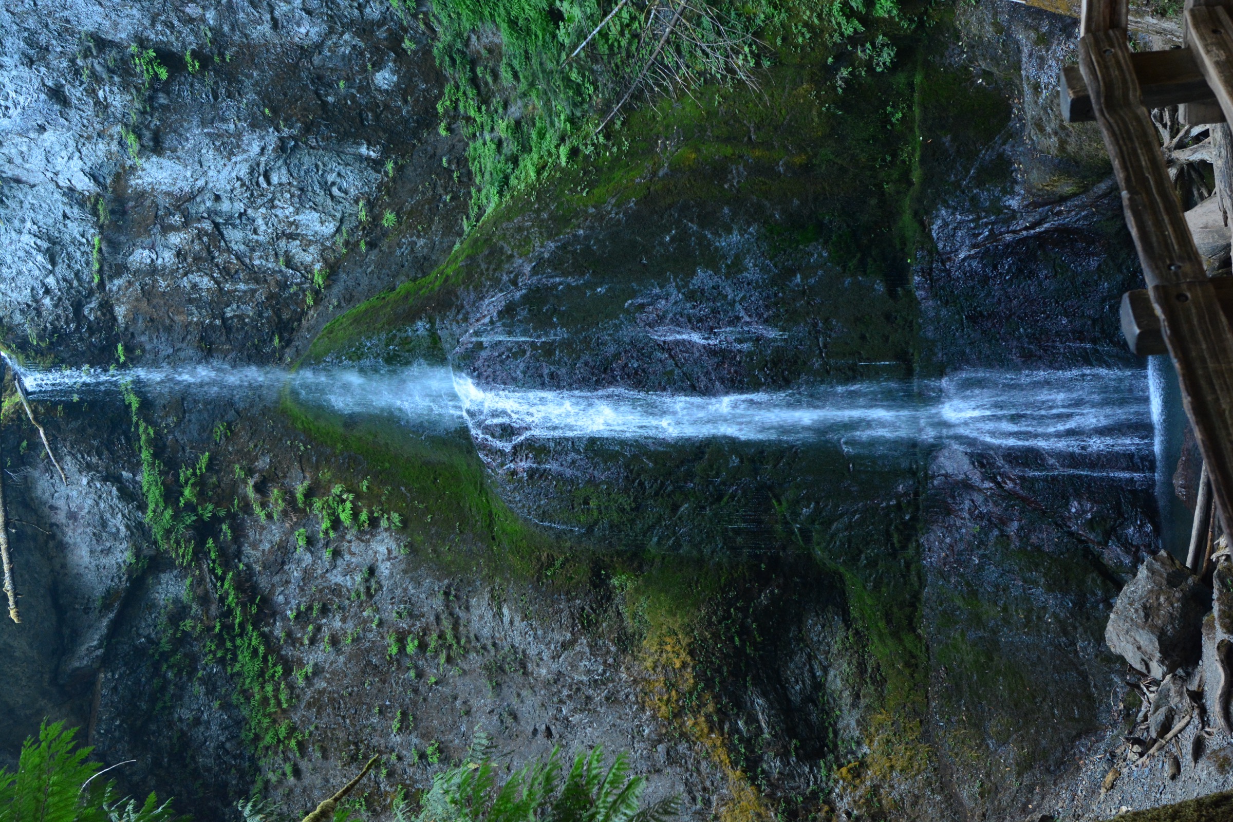 Marymere Falls in spring or higher-flow season
