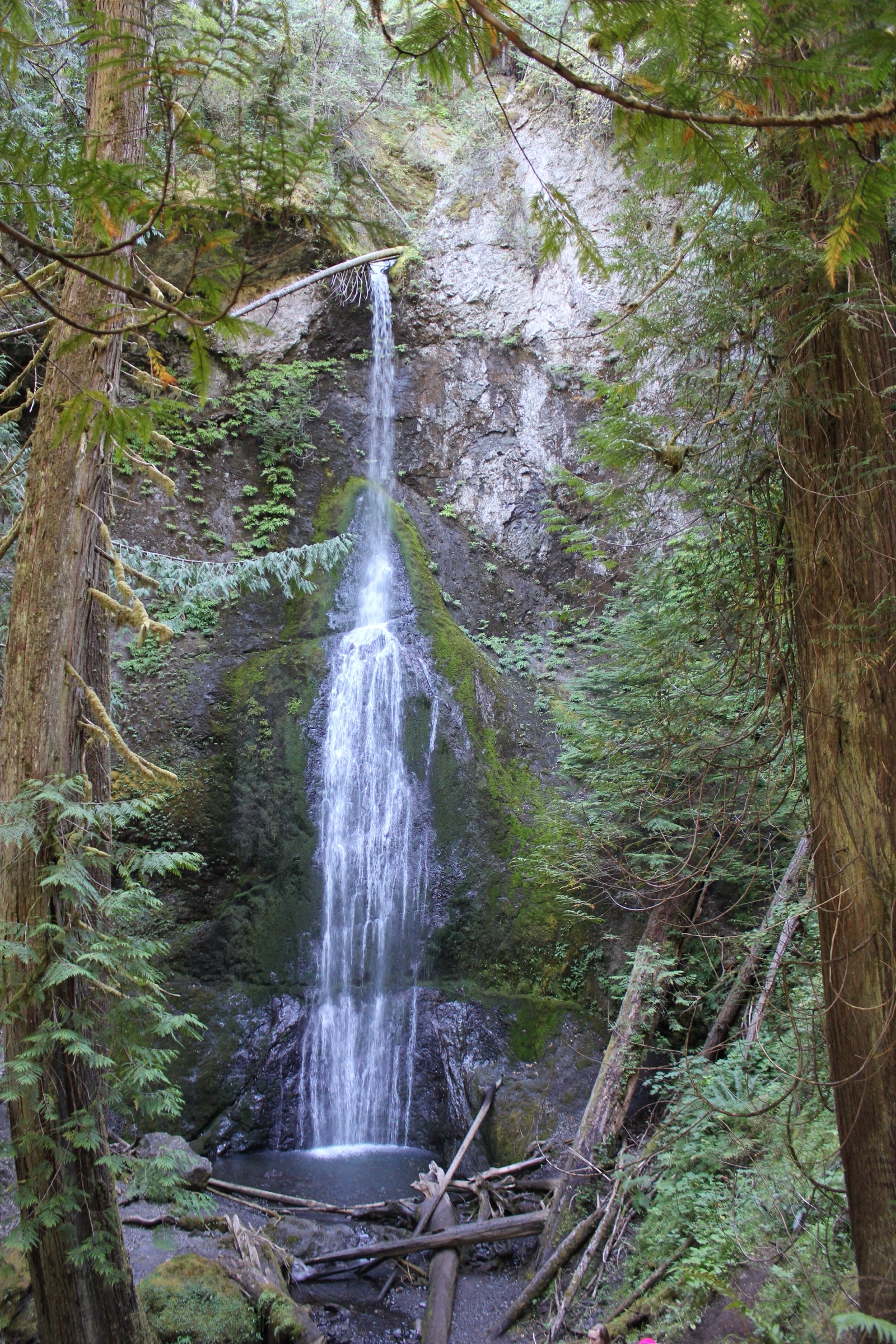 Marymere Falls in summer or green-season visit