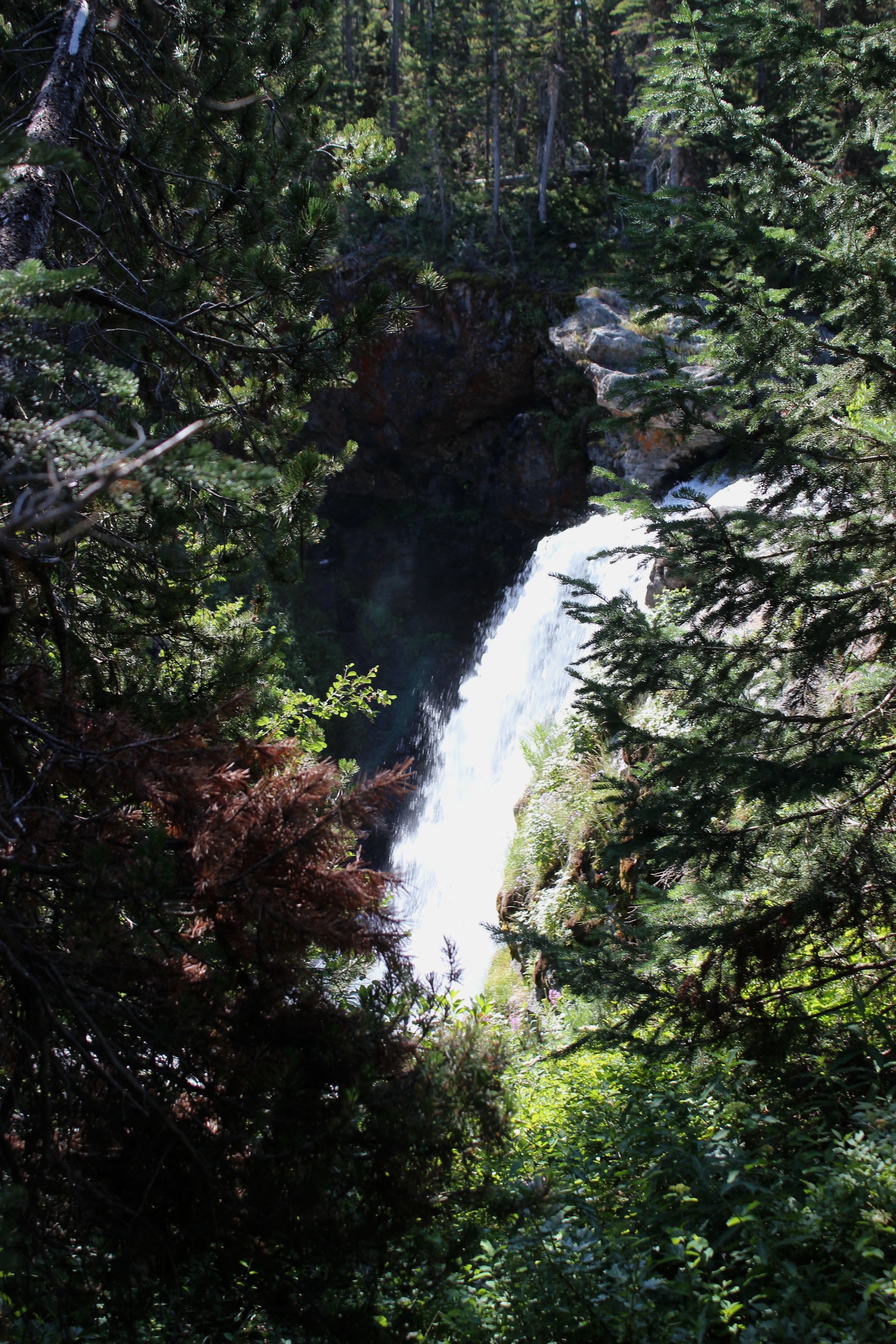 Moose Falls waterfall view