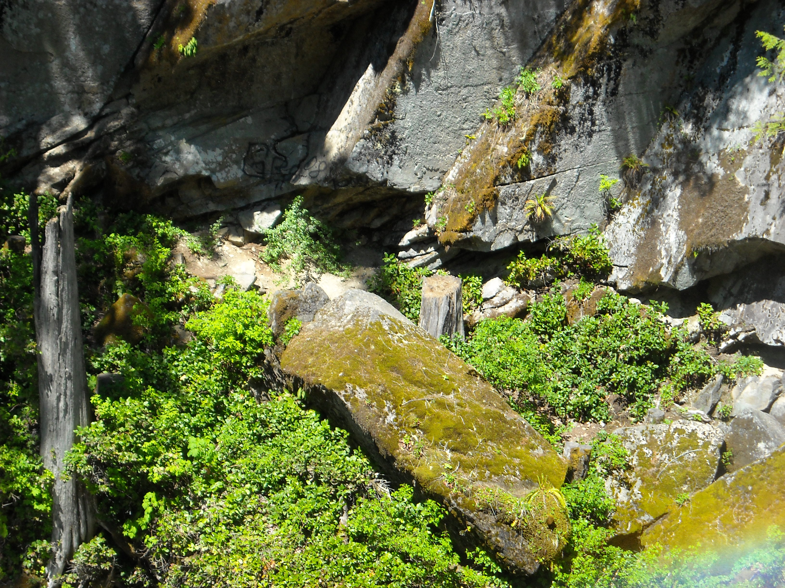 Nooksack Falls waterfall view