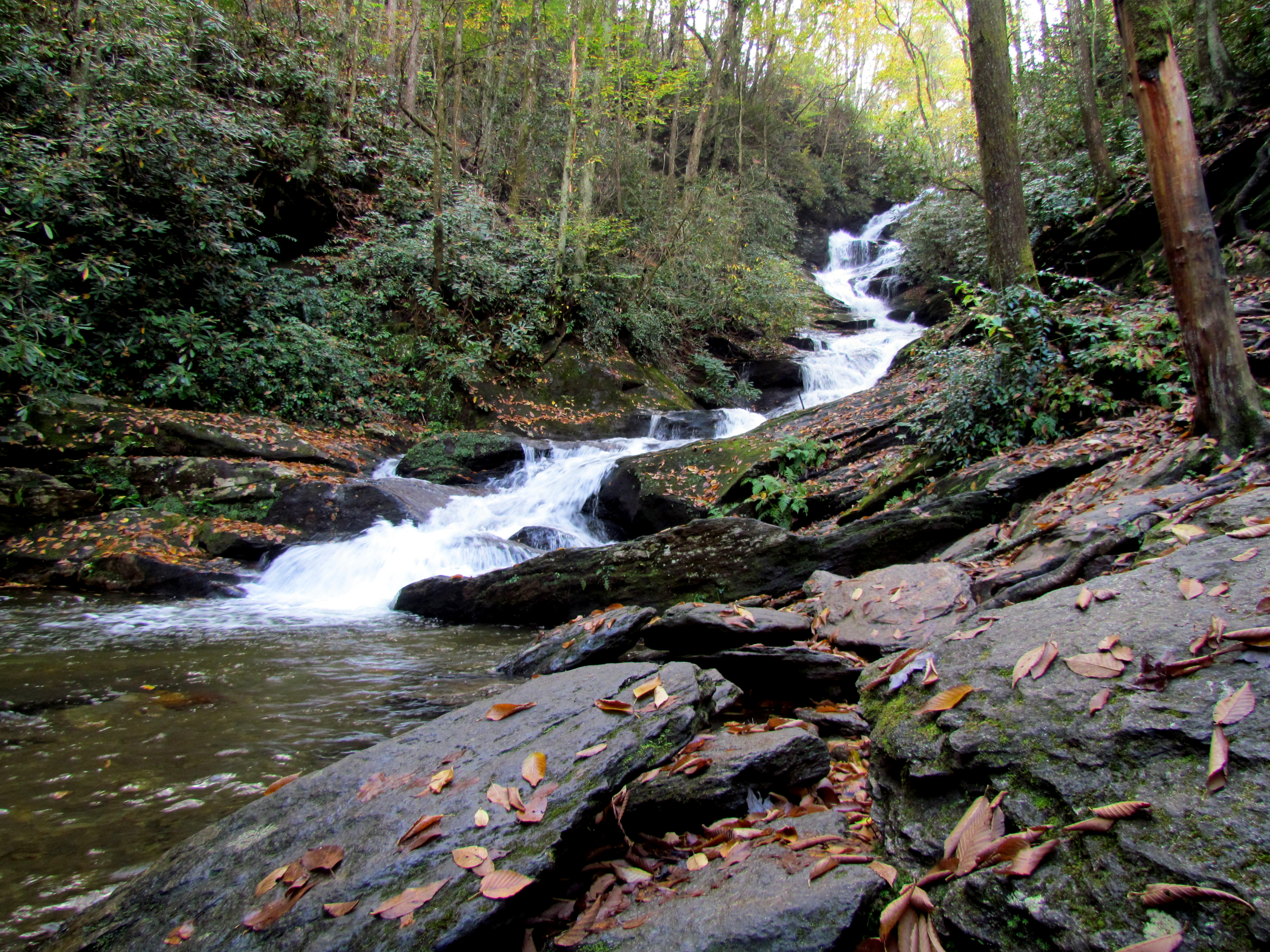 Roaring Fork Falls waterfall view