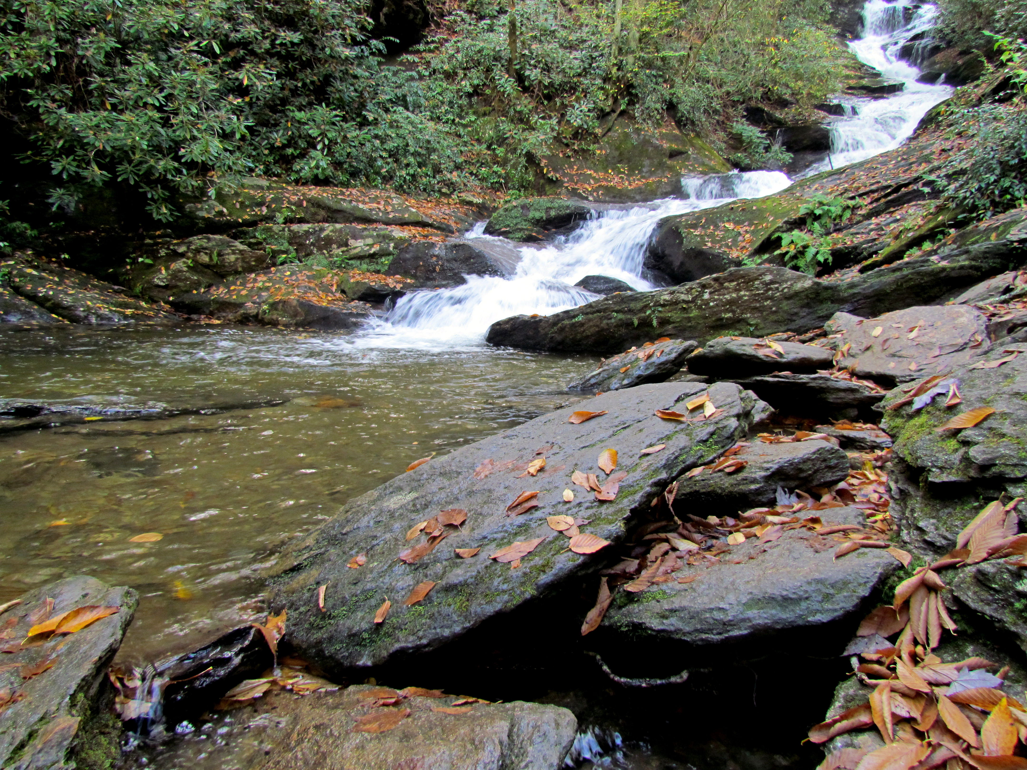 Roaring Fork Falls in fall or cool-weather visit