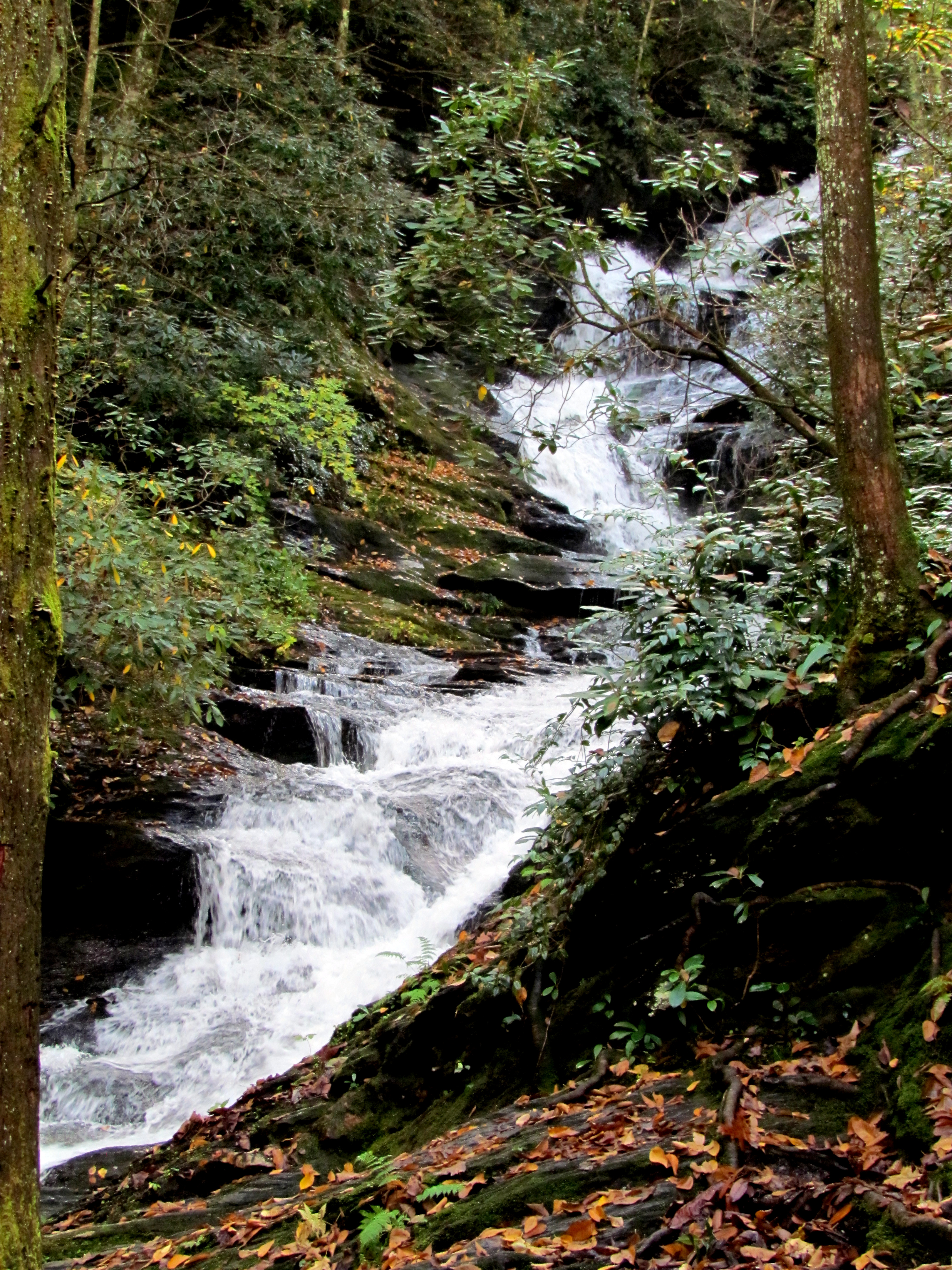 Roaring Fork Falls in spring or higher-flow season