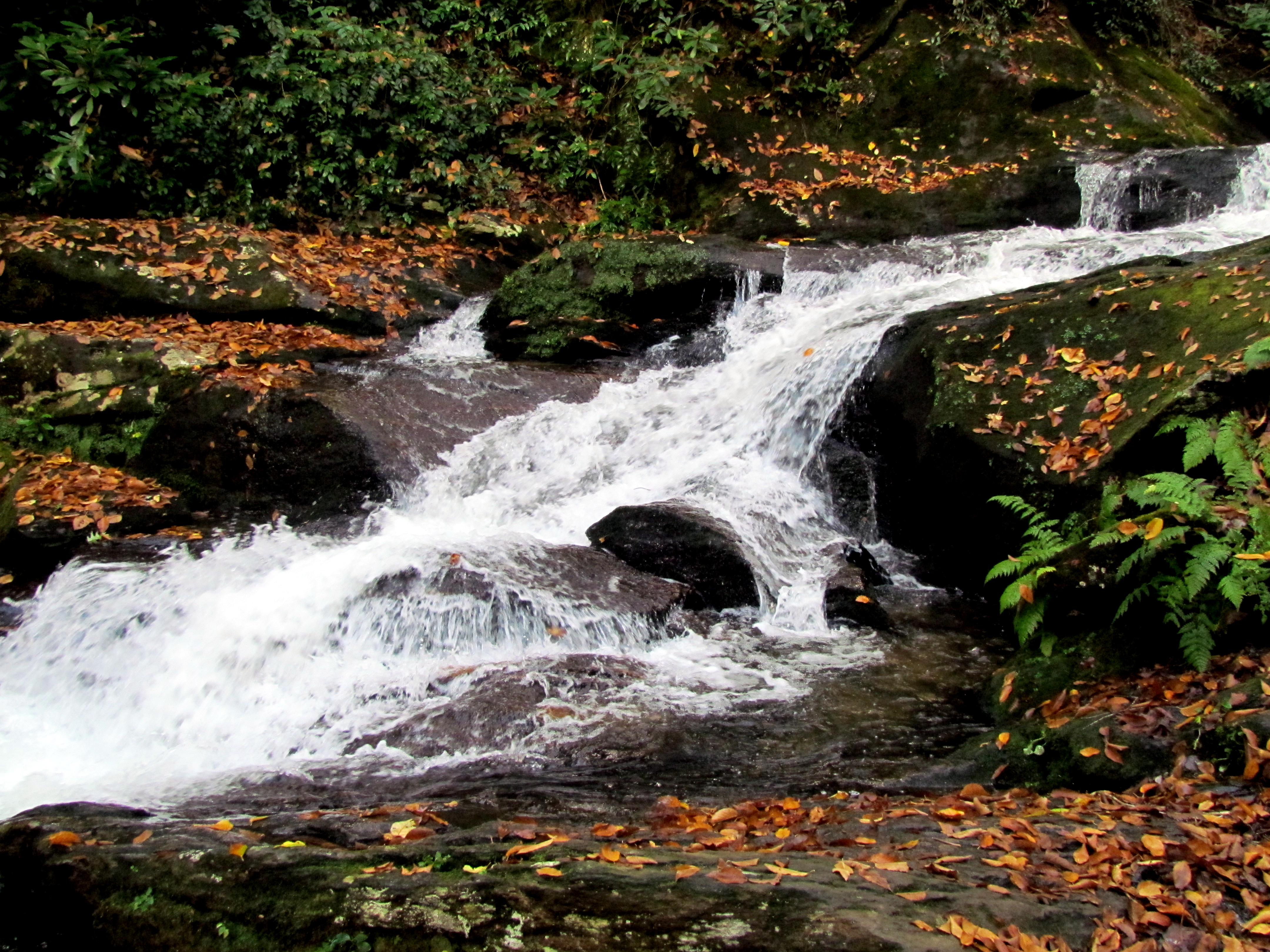Roaring Fork Falls in summer or green-season visit