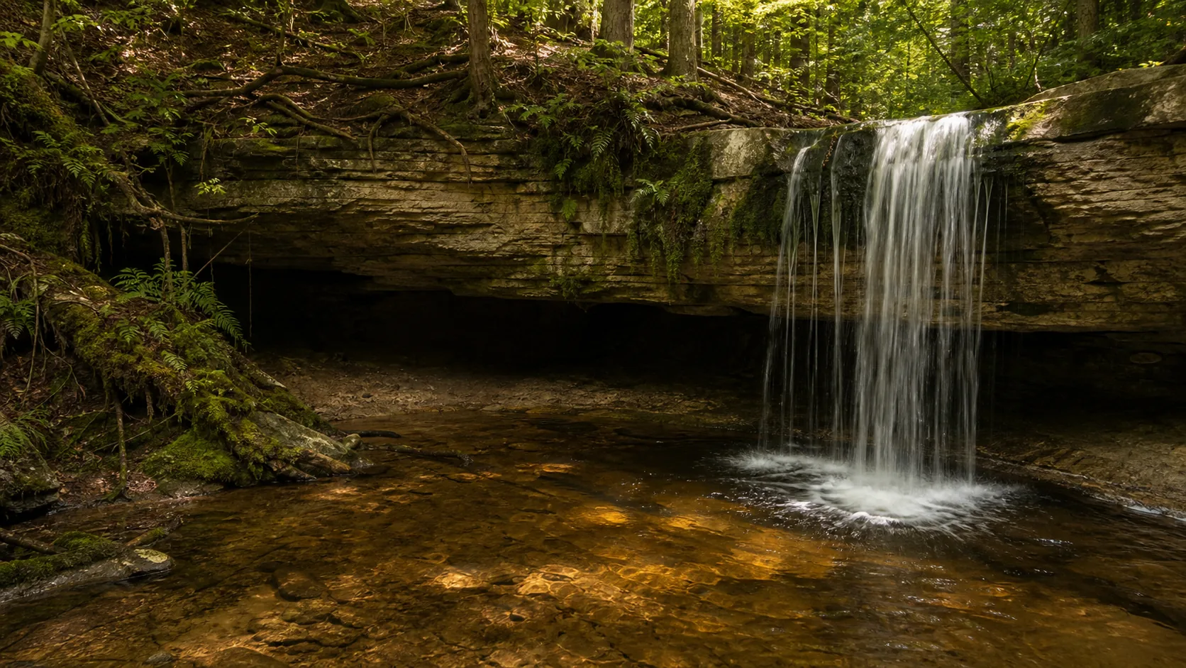 Scott Falls waterfall guide