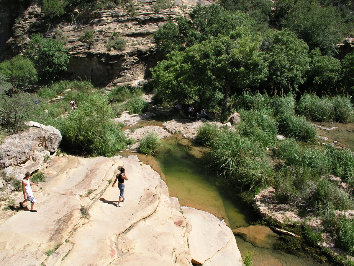 Desert pool below Sitting Bull Falls in Lincoln National Forest