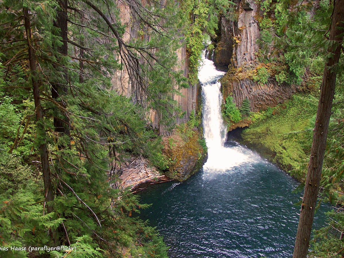 Toketee Falls seen from above with the pool and basalt gorge visible