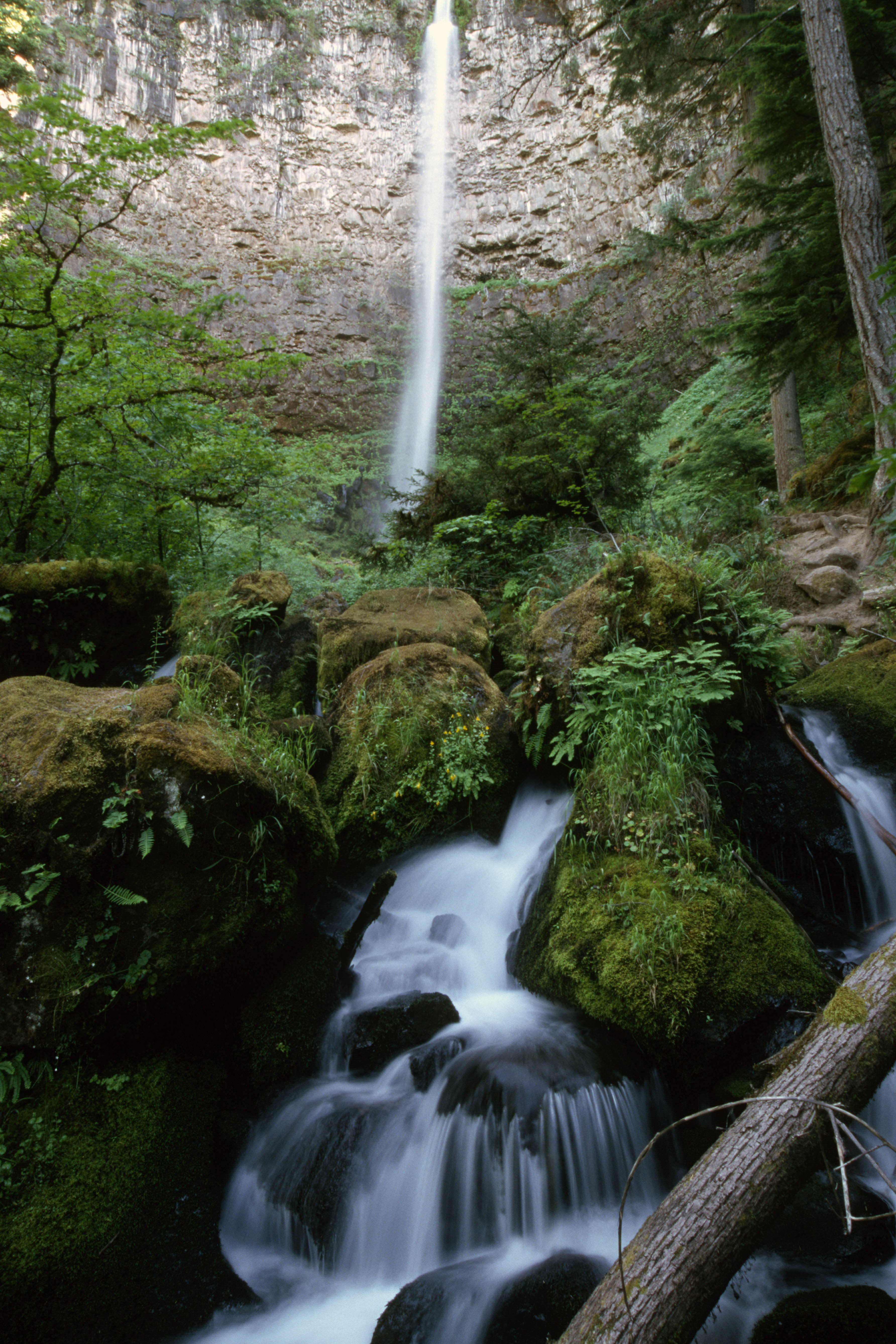 Watson Falls waterfall view