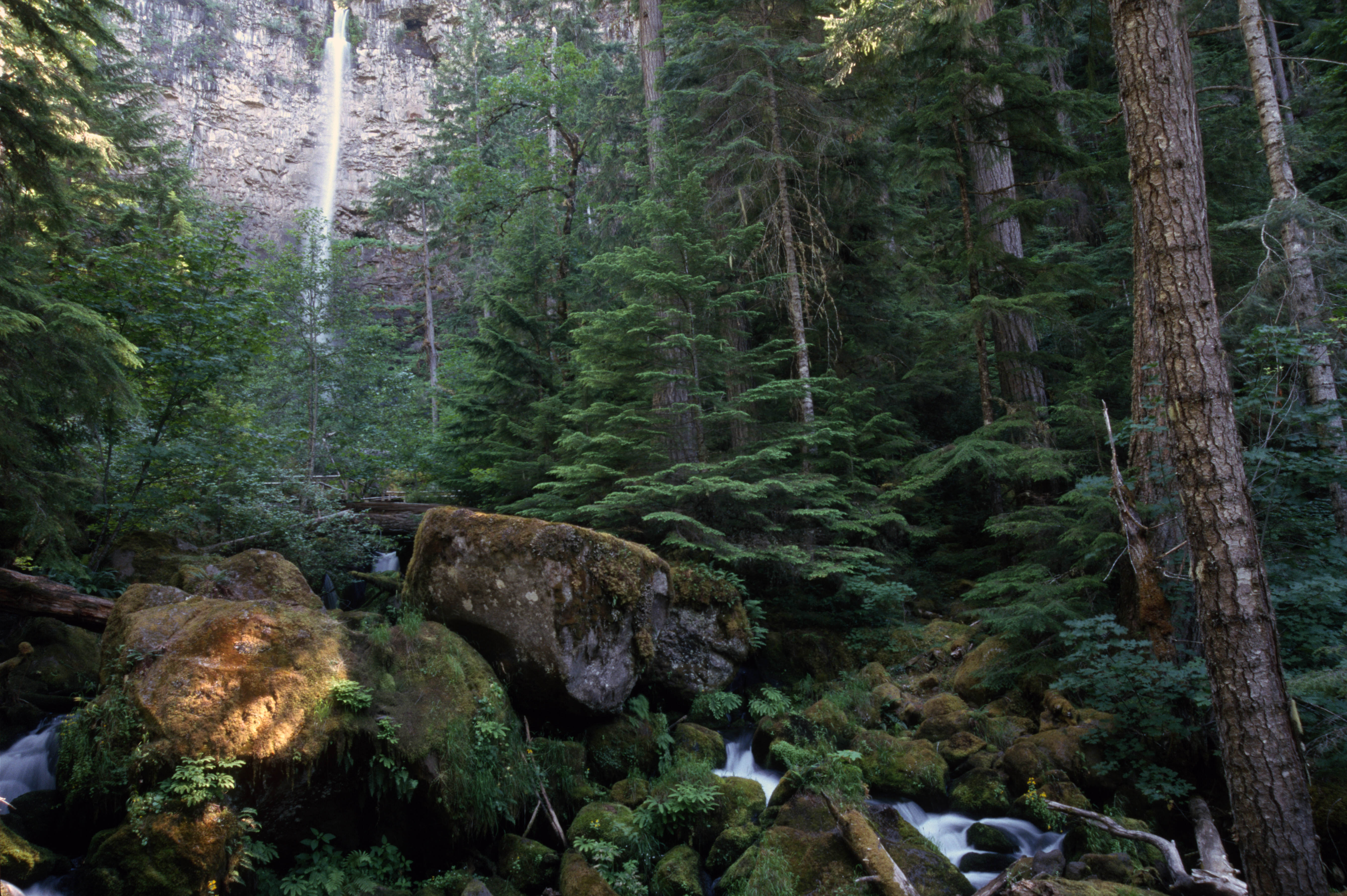 Watson Falls waterfall view