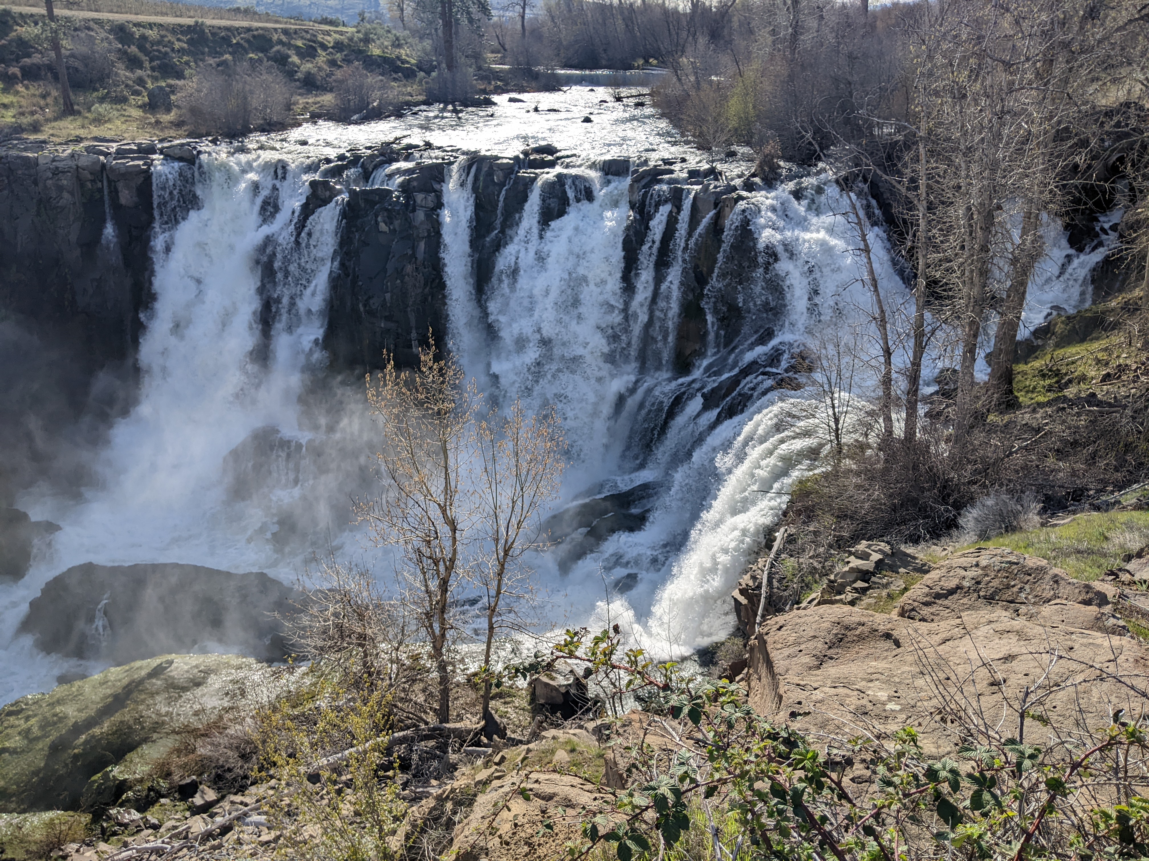 White River Falls waterfall view
