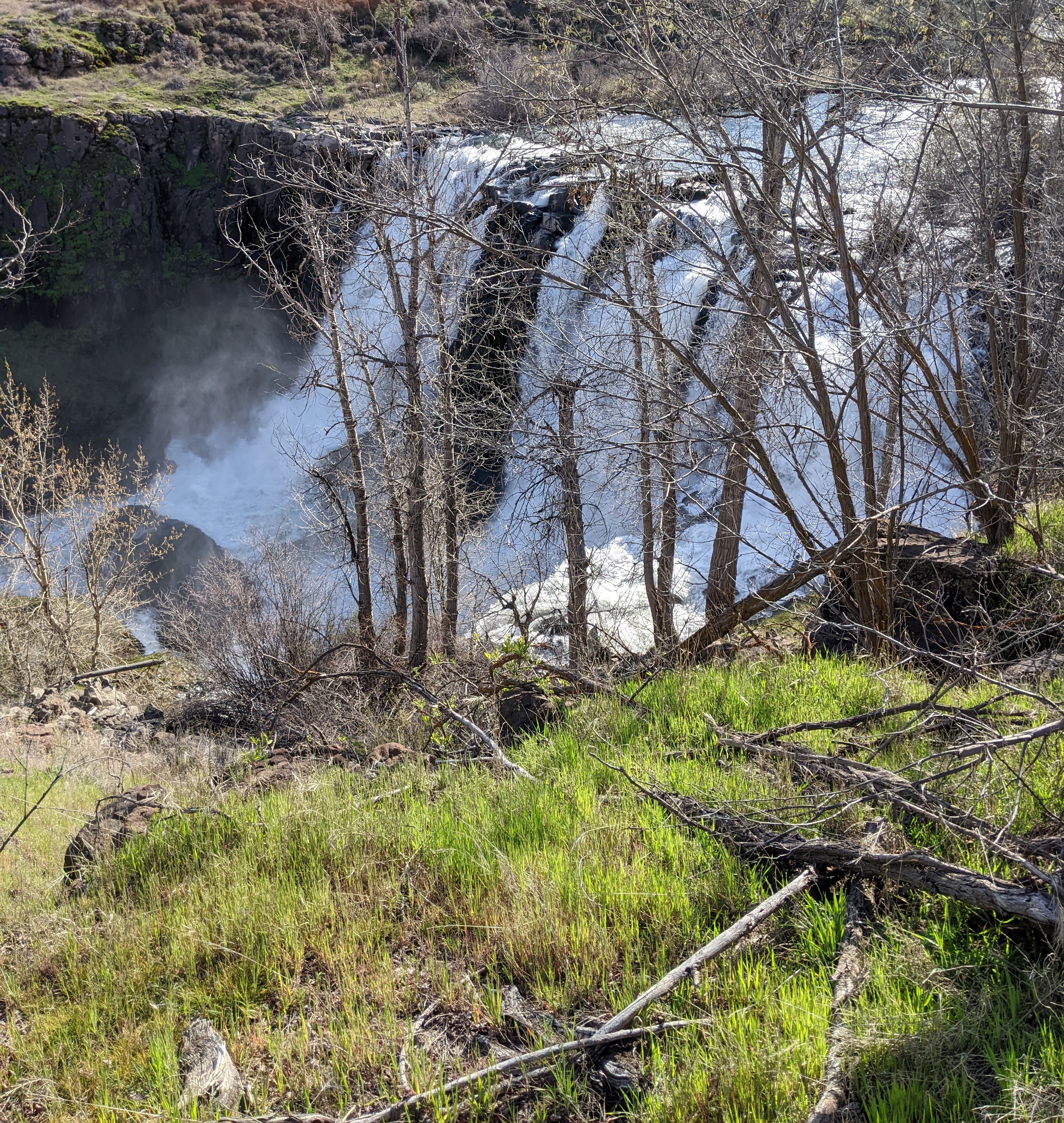 White River Falls waterfall view